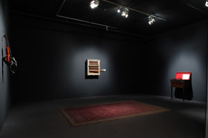 view of the show3